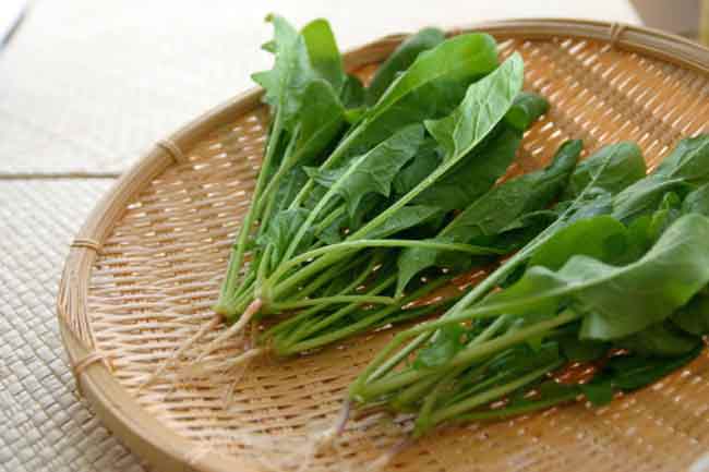 पालक